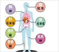 山东毒检中心元素(含重金属)项目检测